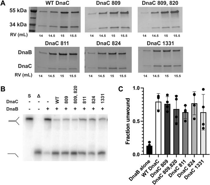 https://cdn.ncbi.nlm.nih.gov/pmc/blobs/9e11/11087952/1b0eb5bf6277/gr2.jpg