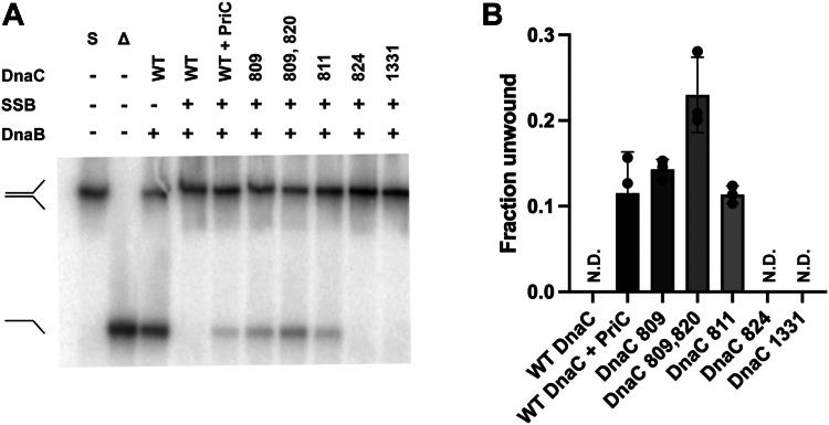 https://cdn.ncbi.nlm.nih.gov/pmc/blobs/9e11/11087952/52c37d265b3c/gr3.jpg