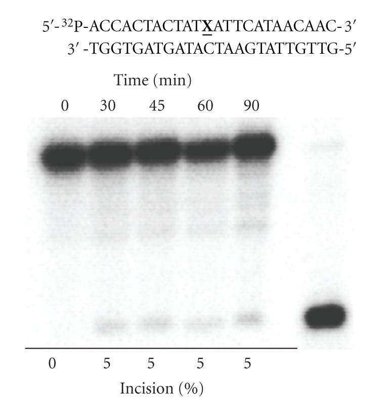 https://cdn.ncbi.nlm.nih.gov/pmc/blobs/9e11/2925382/a30303f1d8fb/JNA2010-850234.007.jpg