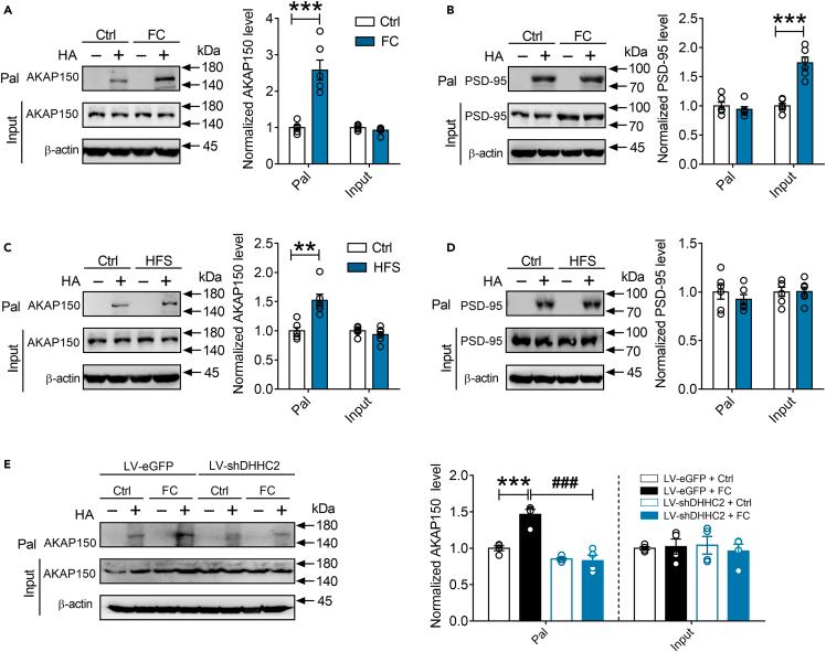 https://cdn.ncbi.nlm.nih.gov/pmc/blobs/9e13/10469764/03ce2731c72c/gr3.jpg
