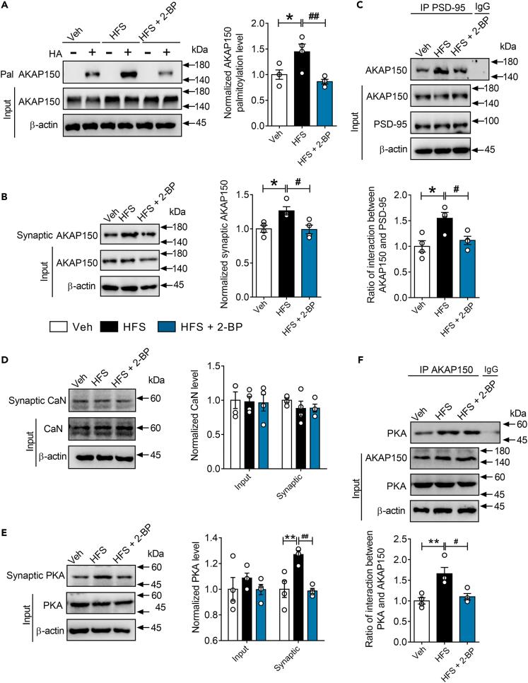 https://cdn.ncbi.nlm.nih.gov/pmc/blobs/9e13/10469764/5c909aee4e14/gr4.jpg