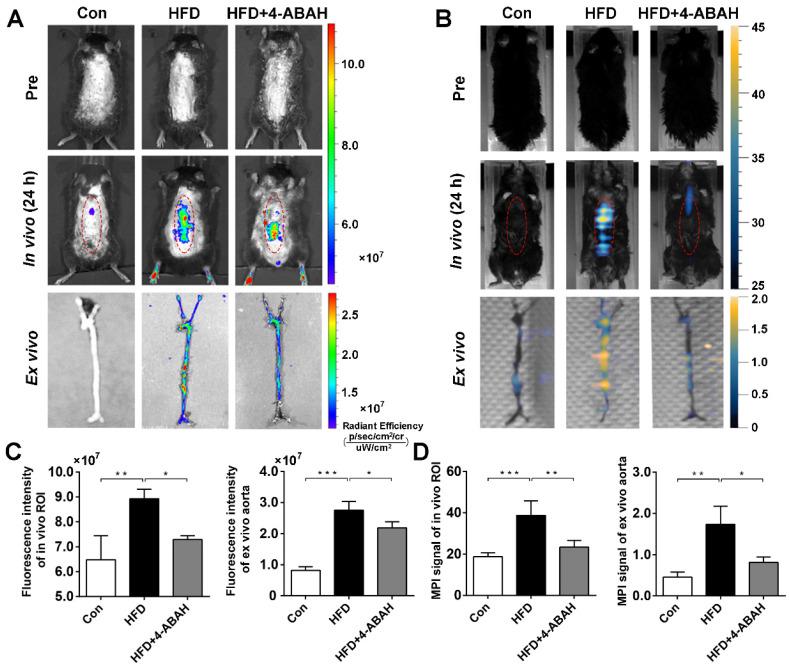 https://cdn.ncbi.nlm.nih.gov/pmc/blobs/9e13/7738857/663df7ad720e/thnov11p0506g005.jpg
