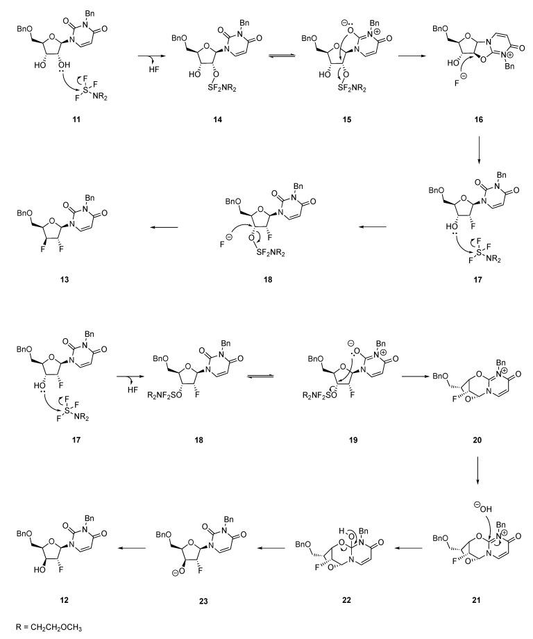 https://cdn.ncbi.nlm.nih.gov/pmc/blobs/9e14/7728060/e8c1017d9afa/molecules-25-05513-sch003.jpg