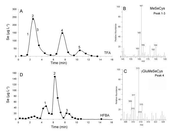 https://cdn.ncbi.nlm.nih.gov/pmc/blobs/9e17/343276/cca1052c1f87/1471-2229-4-1-2.jpg