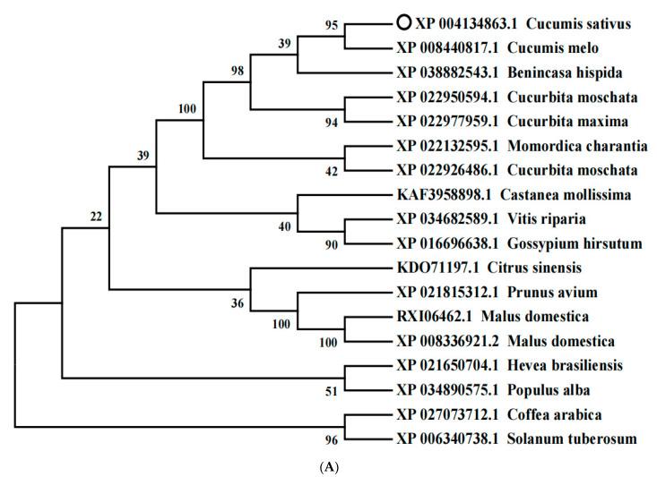 https://cdn.ncbi.nlm.nih.gov/pmc/blobs/9e18/8538082/71f36e600a17/ijms-22-11133-g002a.jpg