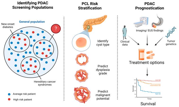 https://cdn.ncbi.nlm.nih.gov/pmc/blobs/9e1a/10177524/199e2391e79f/cancers-15-02410-g002.jpg