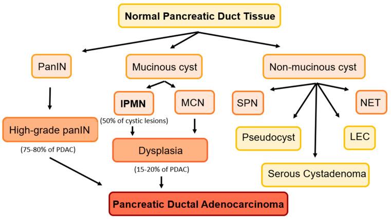 https://cdn.ncbi.nlm.nih.gov/pmc/blobs/9e1a/10177524/511f9991402f/cancers-15-02410-g001.jpg