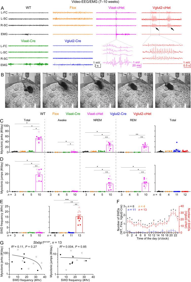 https://cdn.ncbi.nlm.nih.gov/pmc/blobs/9e1a/10993039/608b80c80c0f/jneuro-44-e1806232024-g008.jpg