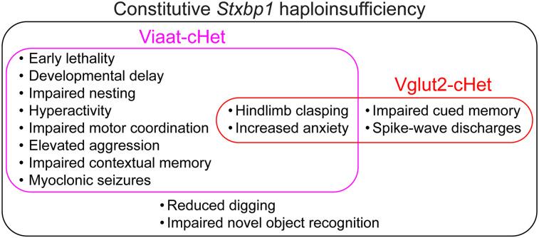 https://cdn.ncbi.nlm.nih.gov/pmc/blobs/9e1a/10993039/9437948cd060/jneuro-44-e1806232024-g009.jpg