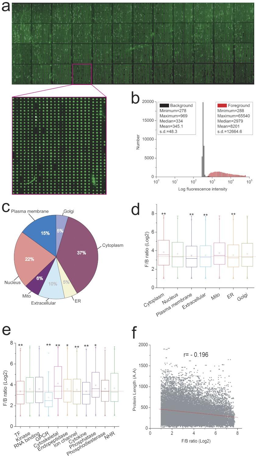https://cdn.ncbi.nlm.nih.gov/pmc/blobs/9e1a/3433917/6287b2b176ee/zjw0061241360002.jpg