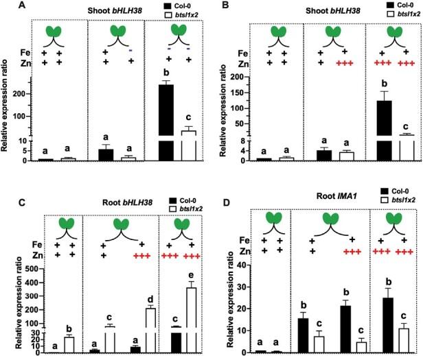 https://cdn.ncbi.nlm.nih.gov/pmc/blobs/9e1c/10540732/8cff883c11f0/erad243_fig5.jpg