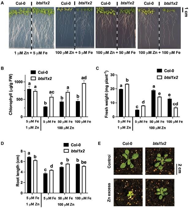 https://cdn.ncbi.nlm.nih.gov/pmc/blobs/9e1c/10540732/a40159fe3e8d/erad243_fig1.jpg