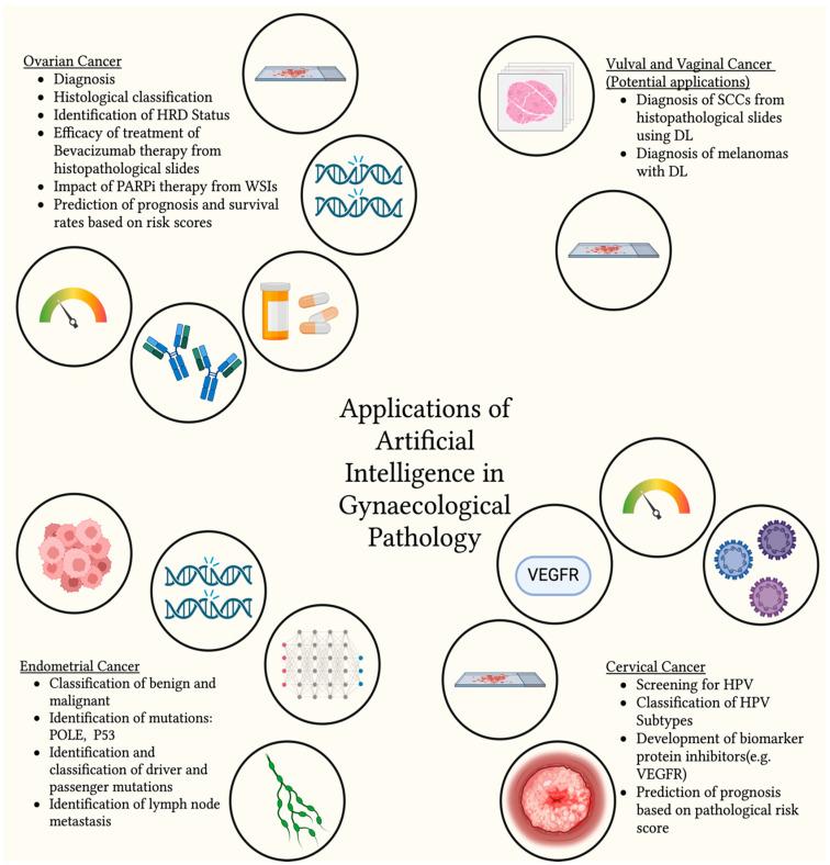 https://cdn.ncbi.nlm.nih.gov/pmc/blobs/9e1c/12025868/c5d1d045cd17/cancers-17-01343-g001.jpg