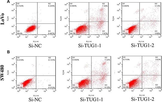 https://cdn.ncbi.nlm.nih.gov/pmc/blobs/9e1e/5239509/dfc1440d78a3/oncotarget-07-51713-g005.jpg