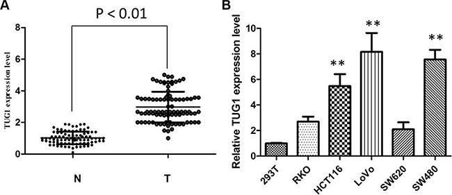 https://cdn.ncbi.nlm.nih.gov/pmc/blobs/9e1e/5239509/fa33741d9819/oncotarget-07-51713-g001.jpg