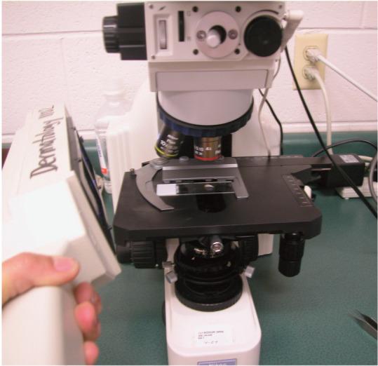 https://cdn.ncbi.nlm.nih.gov/pmc/blobs/9e23/11104042/349c776b7a87/10.1177_1098612X14530215-fig5.jpg