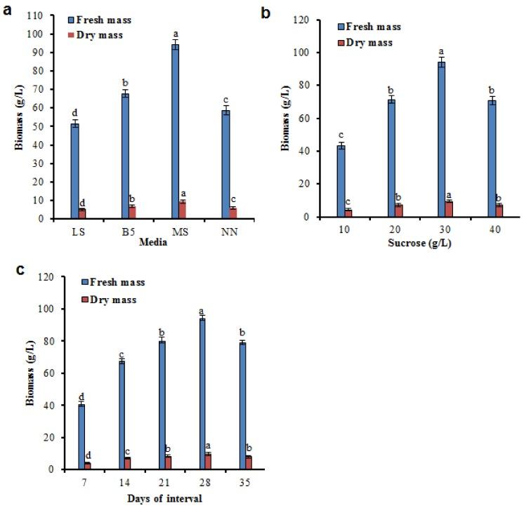 https://cdn.ncbi.nlm.nih.gov/pmc/blobs/9e24/6515212/6e7e2a66337f/molecules-24-01586-g002.jpg