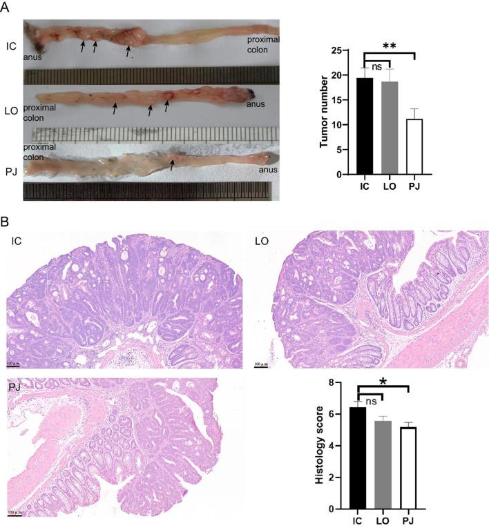 https://cdn.ncbi.nlm.nih.gov/pmc/blobs/9e25/12225111/9254a847527f/12967_2025_6675_Fig2_HTML.jpg