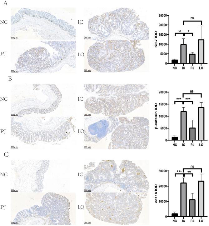 https://cdn.ncbi.nlm.nih.gov/pmc/blobs/9e25/12225111/e19ece176055/12967_2025_6675_Fig3_HTML.jpg