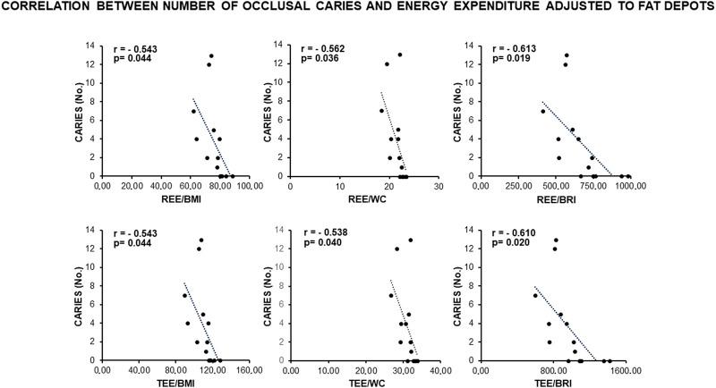https://cdn.ncbi.nlm.nih.gov/pmc/blobs/9e26/11321979/188345c08ddb/fbioe-12-1374135-g002.jpg