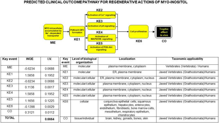 https://cdn.ncbi.nlm.nih.gov/pmc/blobs/9e26/11321979/2ad9c6b77bf1/fbioe-12-1374135-g010.jpg
