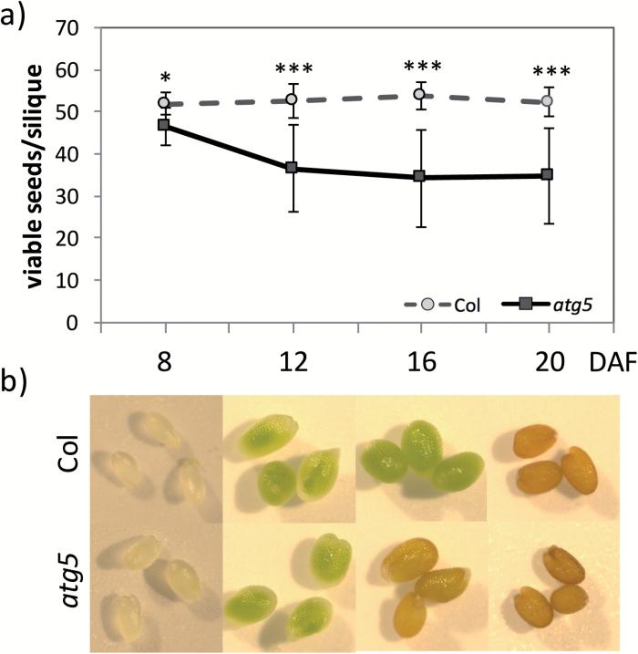 https://cdn.ncbi.nlm.nih.gov/pmc/blobs/9e26/6018931/d28dd2436bca/ery0121204.jpg
