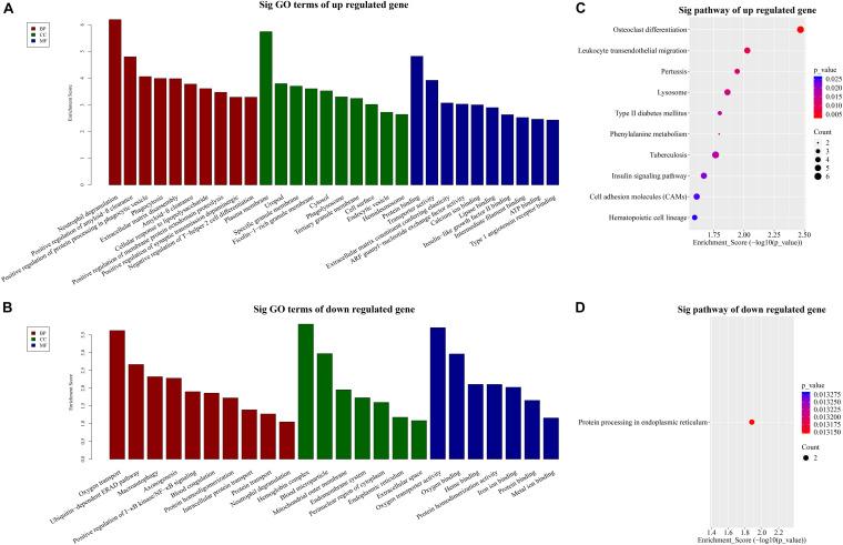 https://cdn.ncbi.nlm.nih.gov/pmc/blobs/9e26/8120246/95b3a55fde59/fgene-12-641526-g003.jpg