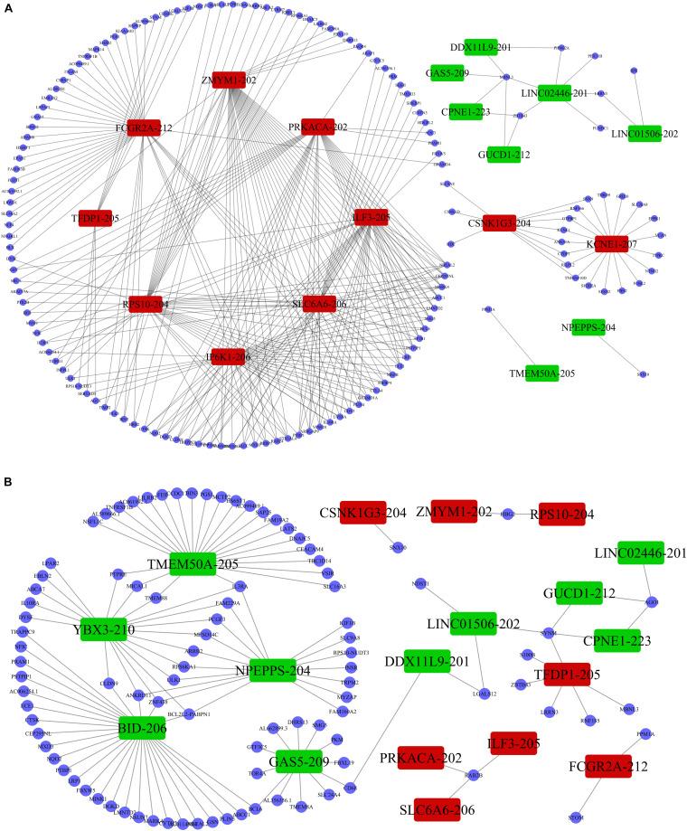 https://cdn.ncbi.nlm.nih.gov/pmc/blobs/9e26/8120246/bf8077db9893/fgene-12-641526-g005.jpg