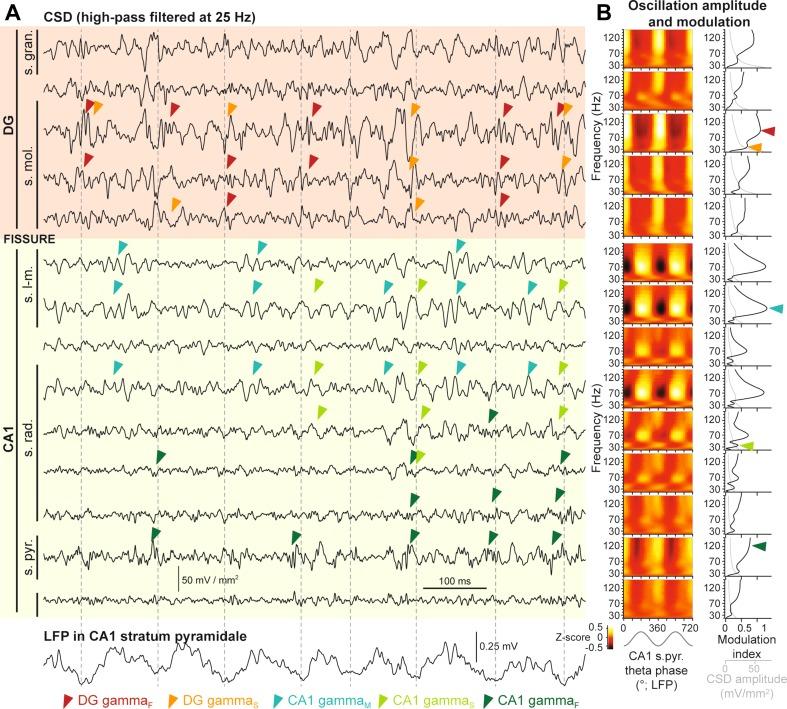 https://cdn.ncbi.nlm.nih.gov/pmc/blobs/9e27/5585287/3a2f0e6ed2ec/429_2017_1421_Fig1_HTML.jpg