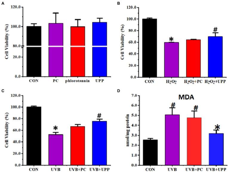 https://cdn.ncbi.nlm.nih.gov/pmc/blobs/9e28/10115965/5729474892e2/fnut-10-1181262-g006.jpg