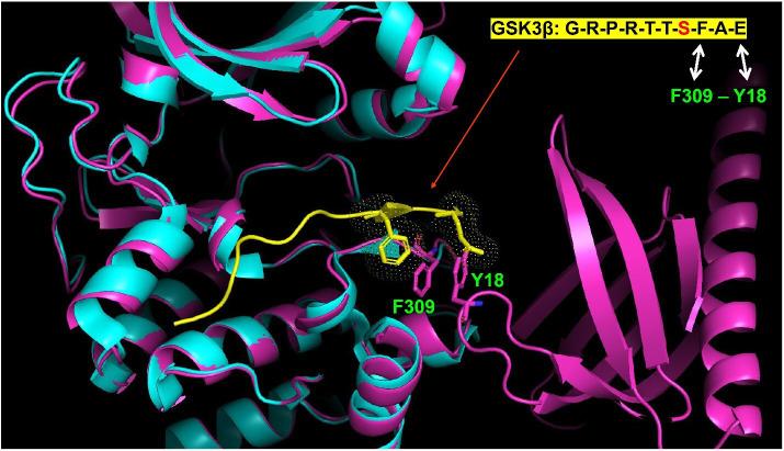 https://cdn.ncbi.nlm.nih.gov/pmc/blobs/9e28/9417420/f337e6541320/elife-80148-fig6-figsupp2.jpg