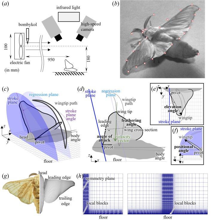 https://cdn.ncbi.nlm.nih.gov/pmc/blobs/9e29/11297250/87657b55d3ea/41598_2024_67966_Fig1_HTML.jpg