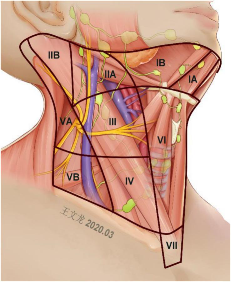 https://cdn.ncbi.nlm.nih.gov/pmc/blobs/9e29/7485332/b046f38cc2fe/fonc-10-01586-g001.jpg