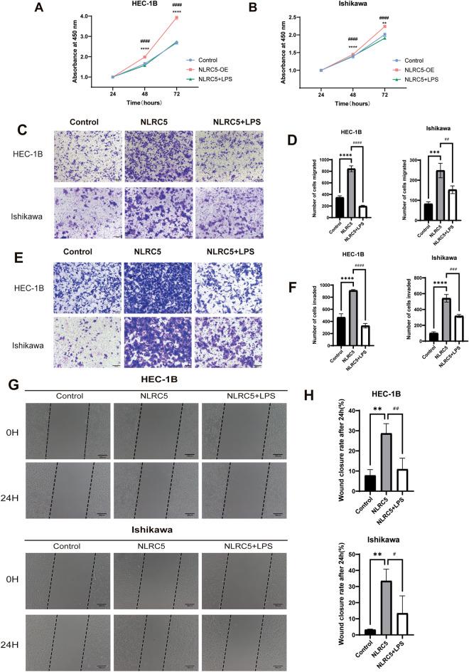 https://cdn.ncbi.nlm.nih.gov/pmc/blobs/9e2d/11143240/320ac69f47af/41598_2024_63457_Fig5_HTML.jpg