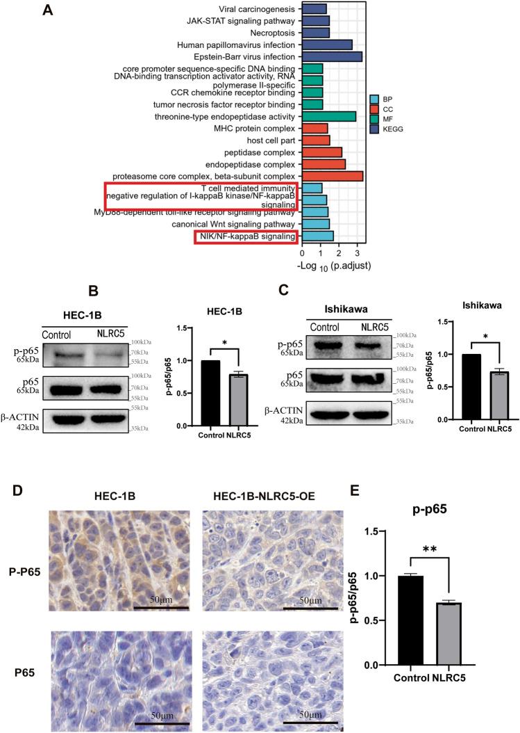 https://cdn.ncbi.nlm.nih.gov/pmc/blobs/9e2d/11143240/616402925d73/41598_2024_63457_Fig4_HTML.jpg