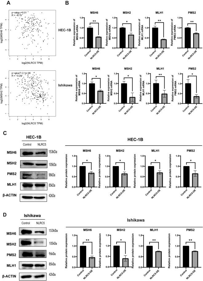 https://cdn.ncbi.nlm.nih.gov/pmc/blobs/9e2d/11143240/683ee3ab13a9/41598_2024_63457_Fig2_HTML.jpg