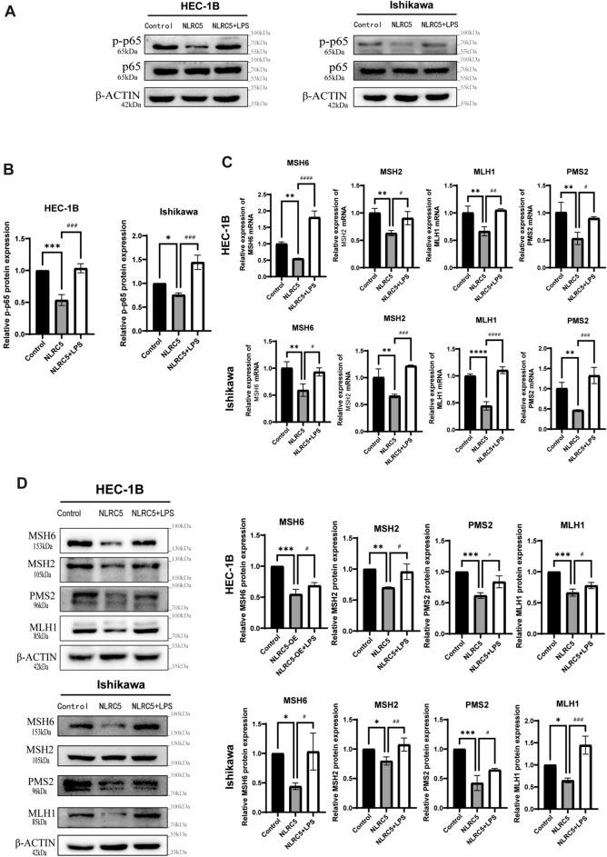 https://cdn.ncbi.nlm.nih.gov/pmc/blobs/9e2d/11143240/e1da7fe8f2a0/41598_2024_63457_Fig6_HTML.jpg