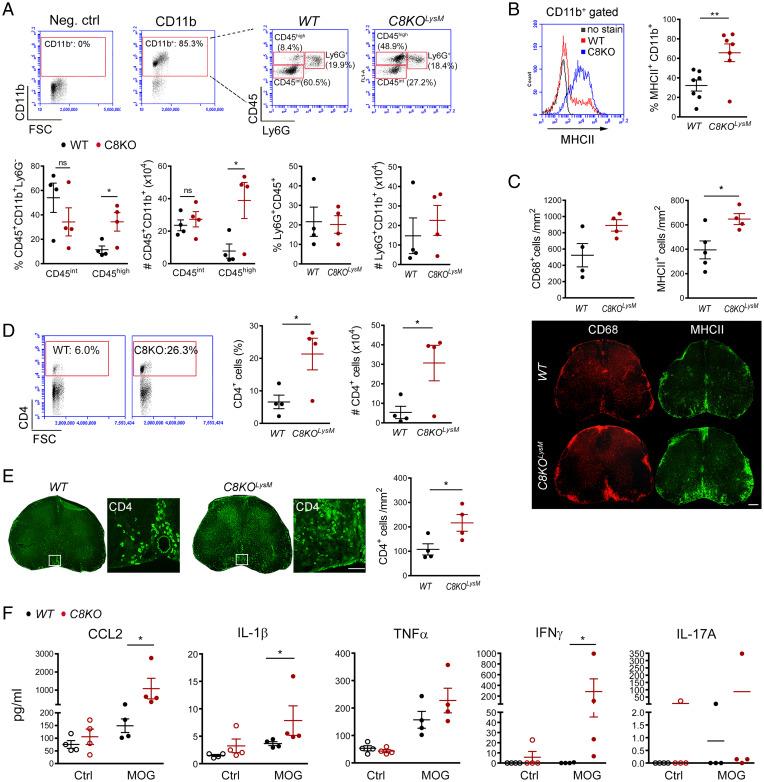 https://cdn.ncbi.nlm.nih.gov/pmc/blobs/9e2e/9214530/f8c0eb774962/pnas.2117636119fig03.jpg