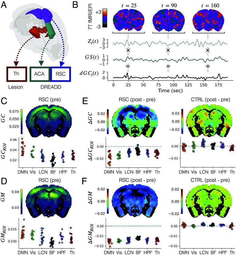 https://cdn.ncbi.nlm.nih.gov/pmc/blobs/9e30/12037044/4e2102cde38f/pnas.2405706122fig01.jpg