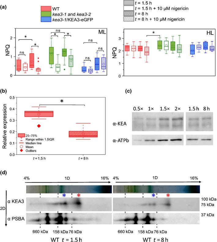 https://cdn.ncbi.nlm.nih.gov/pmc/blobs/9e33/9306478/03259452899c/NPH-234-578-g002.jpg