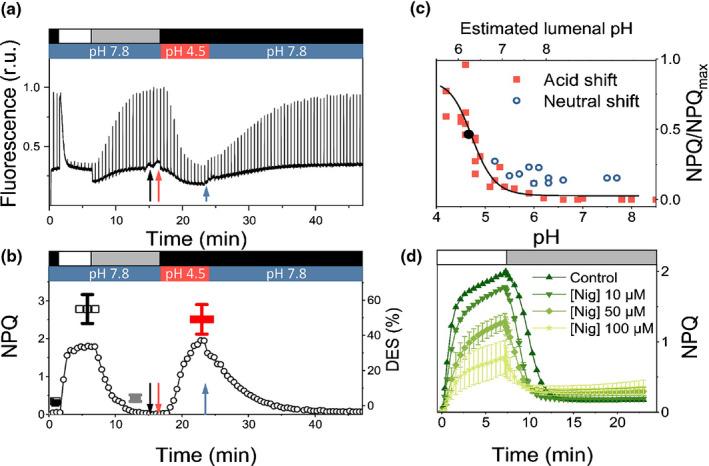 https://cdn.ncbi.nlm.nih.gov/pmc/blobs/9e33/9306478/a6db9791de3e/NPH-234-578-g005.jpg
