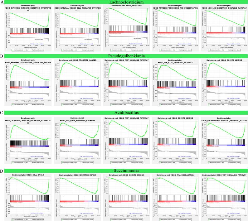 https://cdn.ncbi.nlm.nih.gov/pmc/blobs/9e34/10986513/aa907da261c2/spectrum.04104-23.f007.jpg