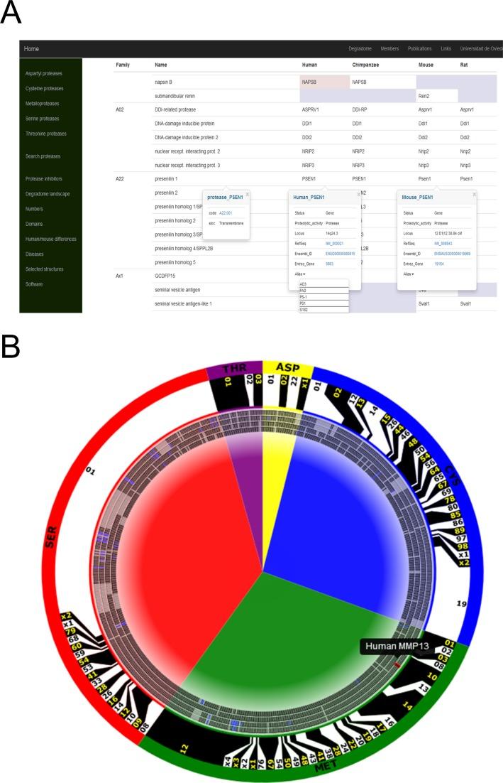 https://cdn.ncbi.nlm.nih.gov/pmc/blobs/9e36/4702854/b1607493f25f/gkv1201fig2.jpg