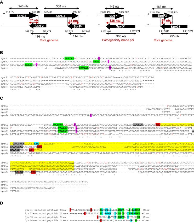 https://cdn.ncbi.nlm.nih.gov/pmc/blobs/9e36/6393307/2e0af2f48fd5/gky1256fig1.jpg