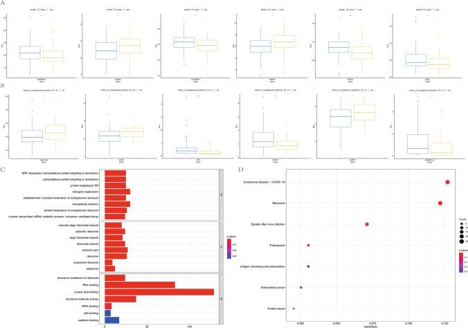 https://cdn.ncbi.nlm.nih.gov/pmc/blobs/9e3a/11018597/4858d96e15a2/12672_2024_962_Fig2_HTML.jpg