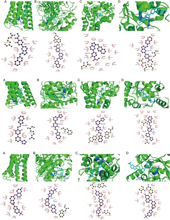 https://cdn.ncbi.nlm.nih.gov/pmc/blobs/9e3a/11018597/4a6bc49f8bee/12672_2024_962_Fig15_HTML.jpg