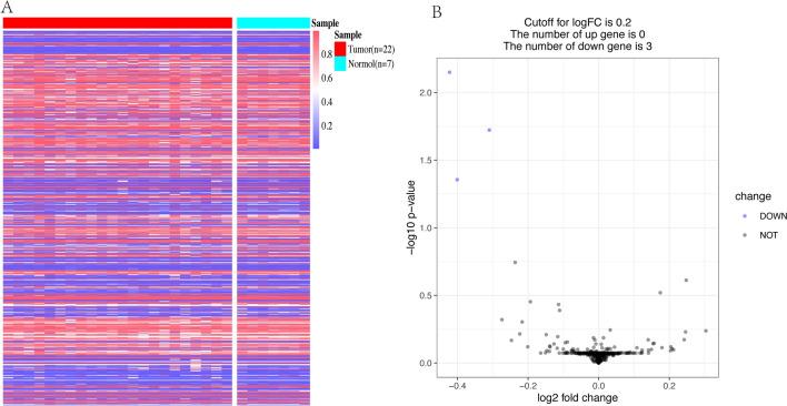 https://cdn.ncbi.nlm.nih.gov/pmc/blobs/9e3a/11018597/ab03ec49d834/12672_2024_962_Fig7_HTML.jpg
