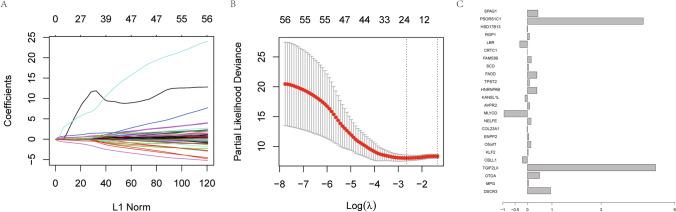 https://cdn.ncbi.nlm.nih.gov/pmc/blobs/9e3a/11018597/bf4762e0fbfd/12672_2024_962_Fig4_HTML.jpg