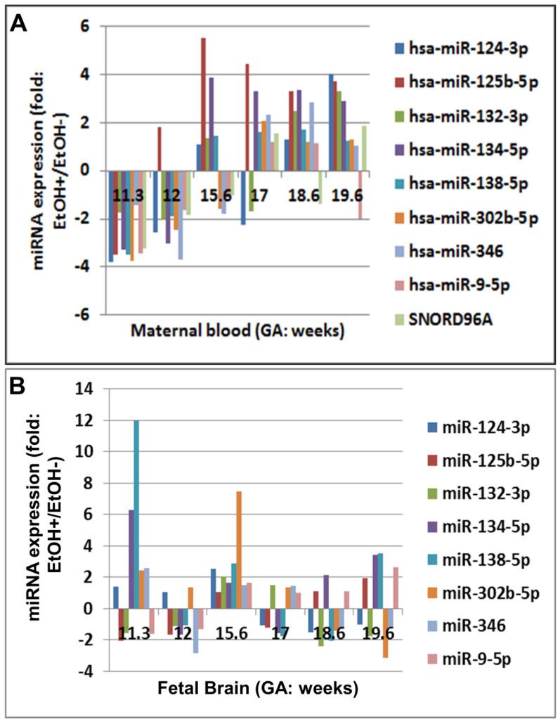 https://cdn.ncbi.nlm.nih.gov/pmc/blobs/9e3b/11172088/55790dc008b2/ijms-25-05826-g002.jpg