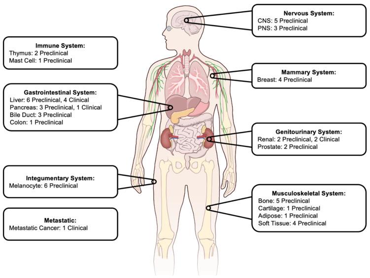 https://cdn.ncbi.nlm.nih.gov/pmc/blobs/9e3c/12346746/0c9cbcdd1f12/cancers-17-02548-g001.jpg